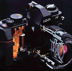 Nikon F501 Schnittmodell
