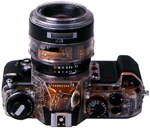 Nikon F501 mit transparenter Oberkappe