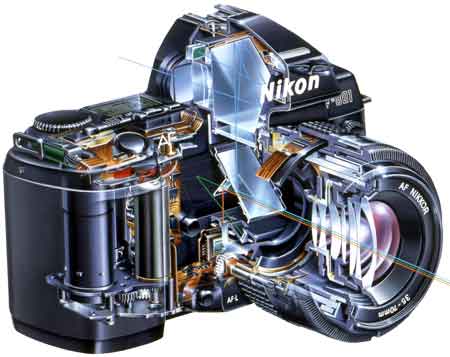 Nikon F801 Schnittmodell